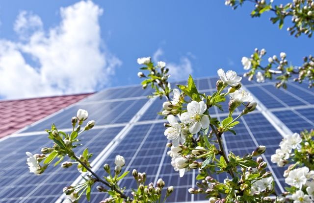 Solarmodule auf dem Dach eines Gebäudes