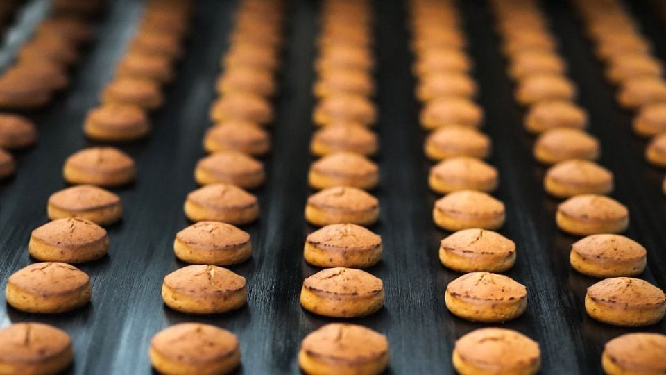 Conveyor belt made from food safe thermoplastic in an industrial baking facility