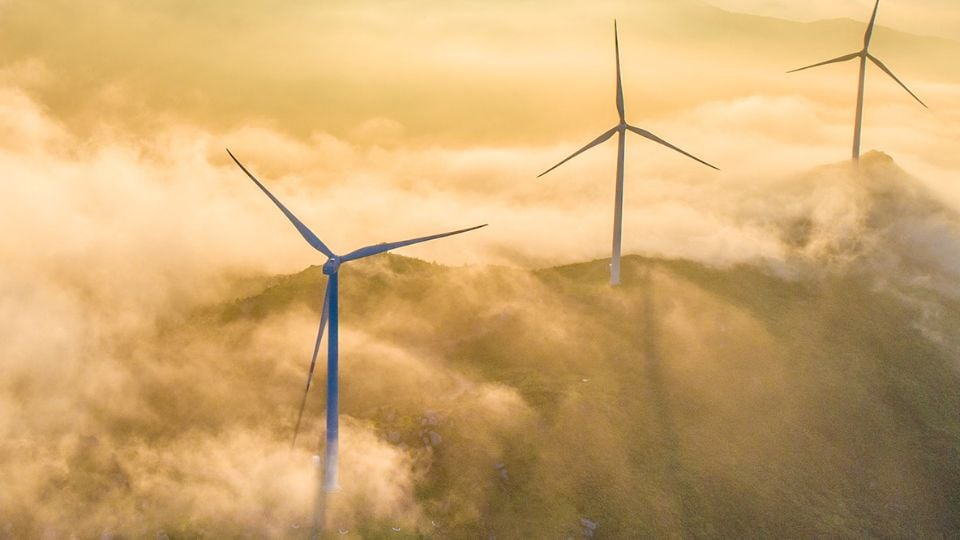 Wind turbines used in renewable energy generation